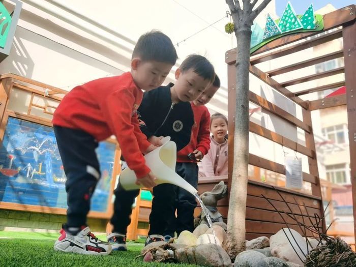 济南市育贤第一幼儿园：予一树青翠，聆听春的律动