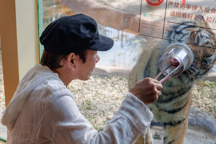 知名歌手赵传惊喜现身动物世界，与小小鸟梦幻联动