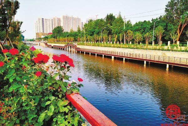 描绘黄河生态新画卷① ｜ 滔滔黄河水 润泽一座城