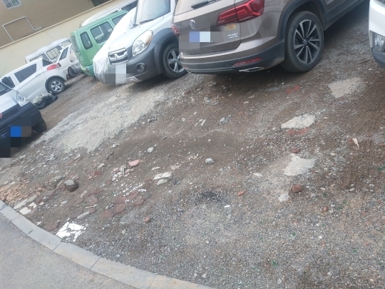 【啄木鸟在行动】杂草丛生数百米路边沦为“野生”停车场