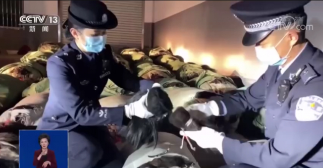 可怕！大量头发走私入境，从哪来？卖给了谁？