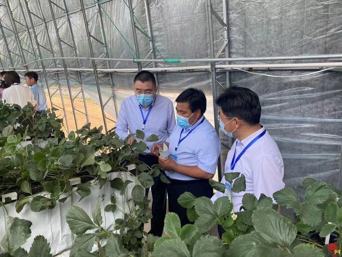 打造北方种业之都正逢其时 “商量”调研济南优势和底气