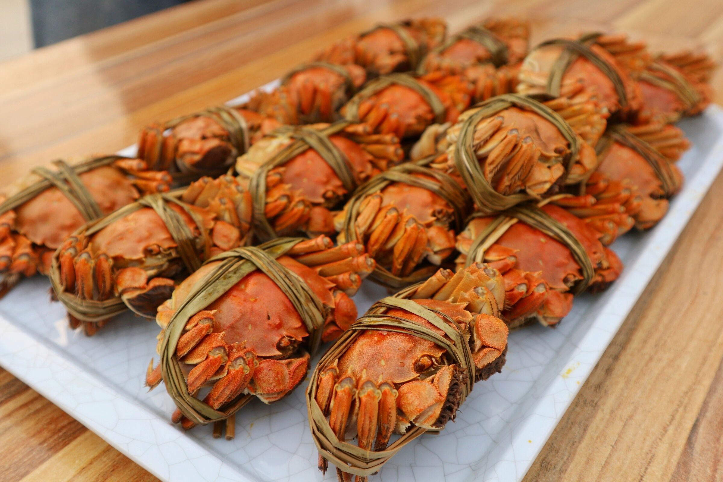 黄河口大闸蟹正式开捕，提前15至30天抢占市场先机