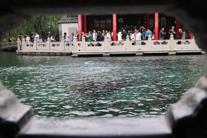 连绵降雨助力，济南趵突泉黑虎泉水位三连涨