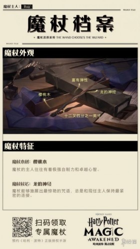 哈利波特手游魔杖 哈利波特魔法觉醒新手攻略