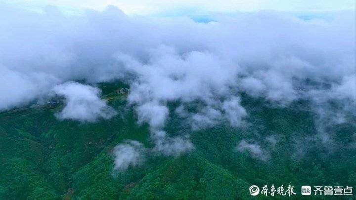 济南南山出现云海奇观，九如山红叶瀑布白云环绕如仙境