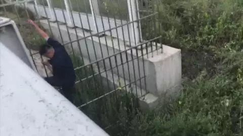 男子坠下胶州湾大桥 伤势严重！消防破拆栅栏救援