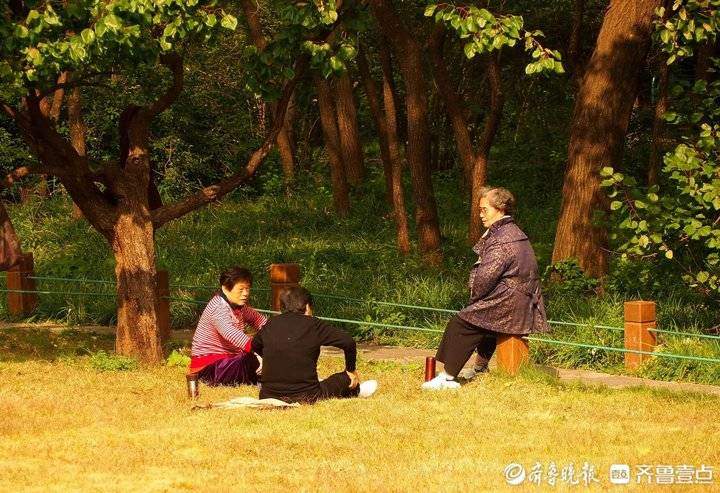 霜降时节济南市民扶老携幼出门休闲，在阳光下尽享晚秋的美丽