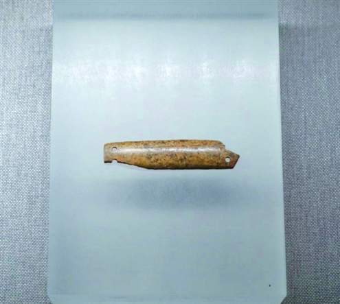 曹县莘冢集村的土丘下 竟是大禹母族的千年莘国