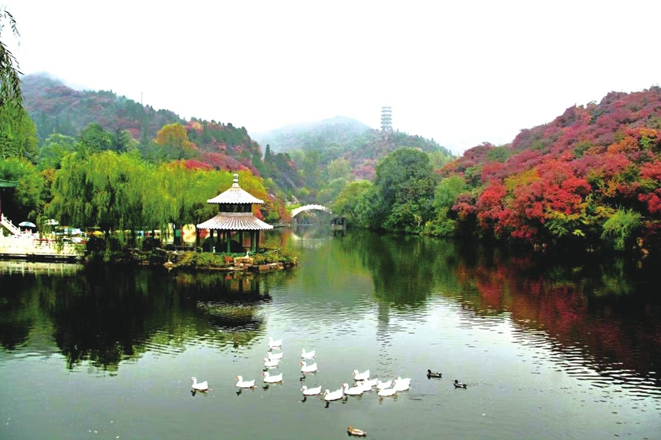 秋雨助兴红叶节 红叶谷提前迎来红叶最佳观赏期