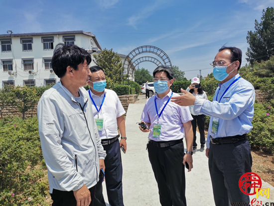 泉城“商量”问计如何做好“小玫瑰”里的“大文章”