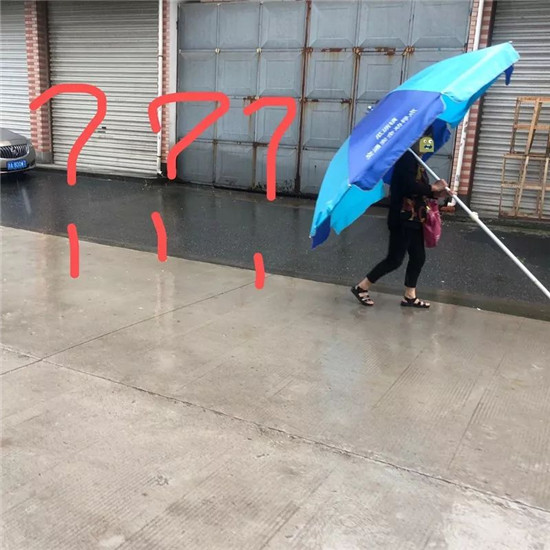 杭州萧山这位阿姨您要火了！网友：人类的伞已经撑不住您了吗？