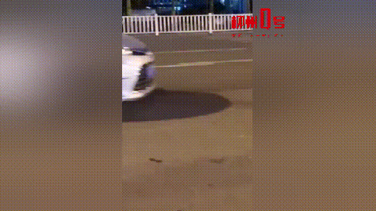 女司机驾车柳州马路中间龟速遛狗，交警罚款100元记2分