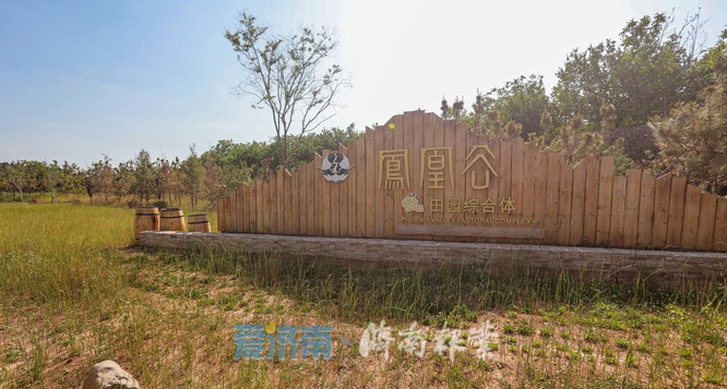 南部山区新增一处田园综合体，假期有了新去处