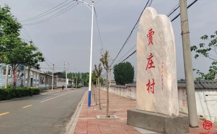 济南市应急管理局派驻东阿镇贾庄村“第一书记”：办实事 修路解忧暖民心