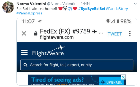 操碎了心!大熊猫贝贝回国 听不懂中文(四川话)咋办?