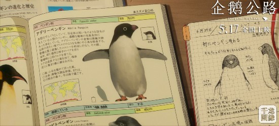《企鹅公路》终极预告海报双发 少年大姐姐解锁“企鹅力量”拯救世界