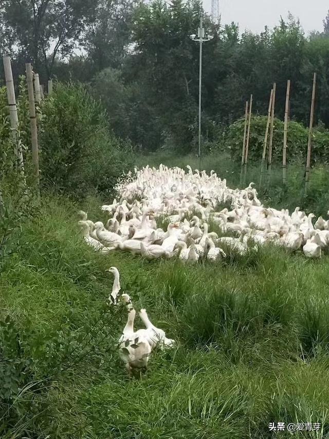 Ȫзмͥʾũɳũ