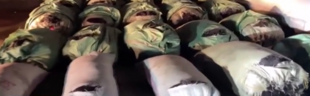 可怕！大量头发走私入境，从哪来？卖给了谁？