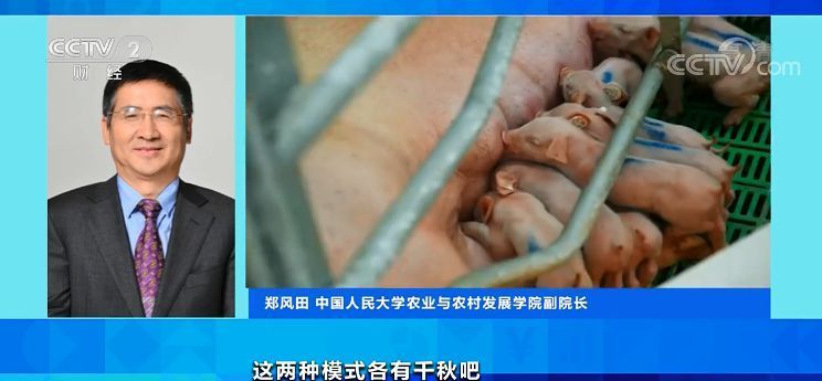 猪肉价格反弹！房企抢滩 卖猪比卖房挣钱？
