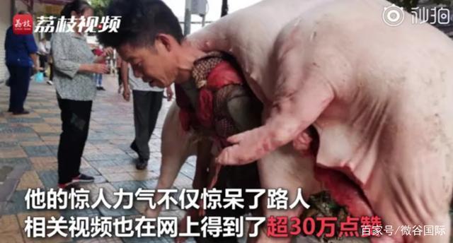 生活不易！贵阳背肉汉回应背480斤猪肉：靠这个体力活养活了一家人