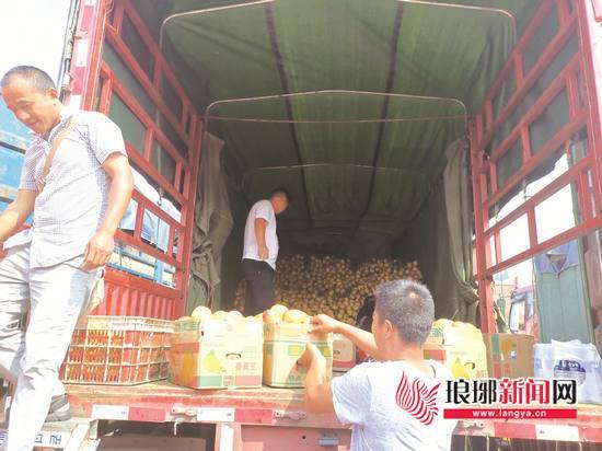 石榴上市一个月 临沂一批发市场交易量达5659.4吨