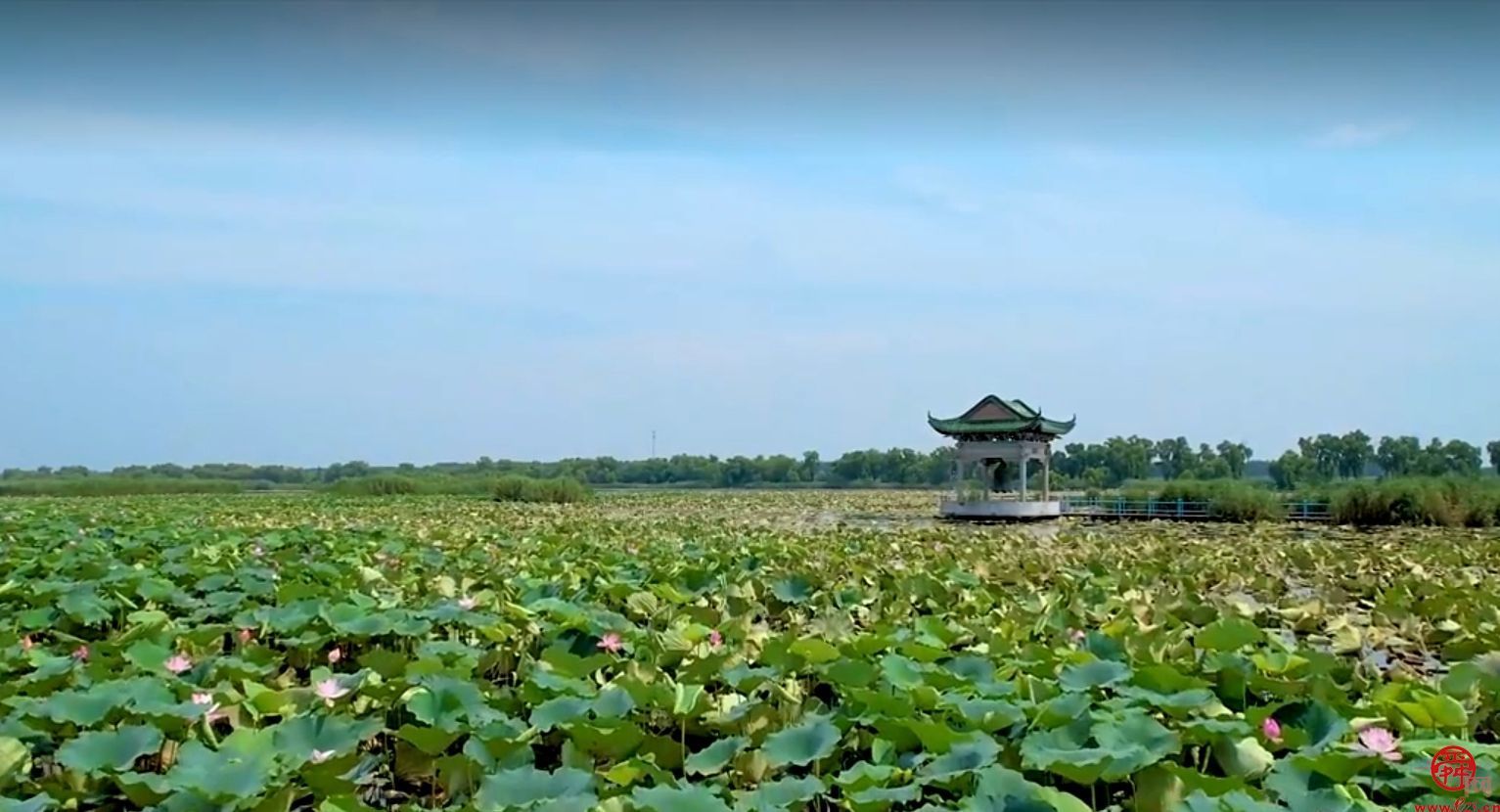 非凡十年“瞰”济南