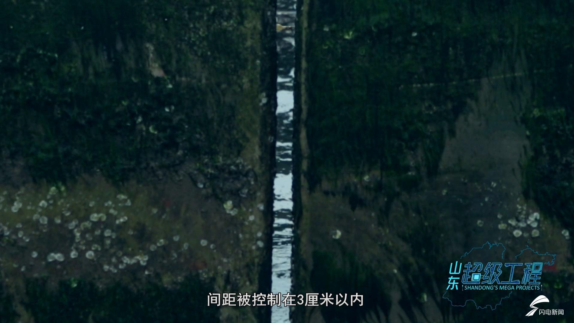 这就是山东｜退港还海！日照港海龙湾还城市一条“蓝腰带”