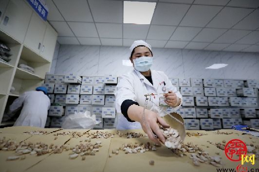 药剂师：能文能武 助人健康手有余香