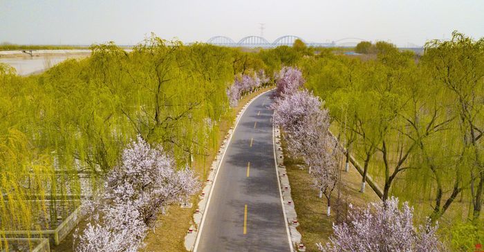 【走基层 看发展】美里湖街道：绘就生态工笔画谱写乡村振兴新篇章