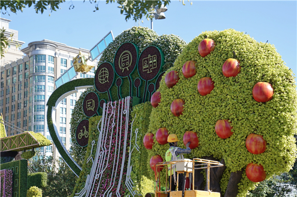 天安门广场“祝福祖国”巨型花果篮亮相