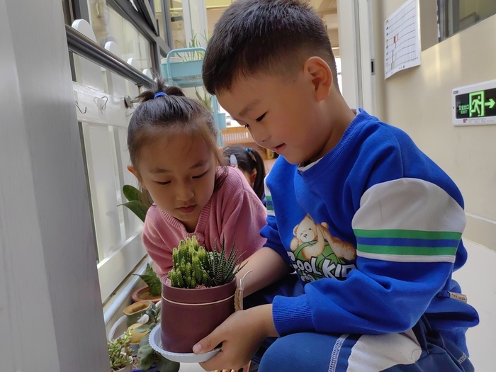 植一株绿色，溢一片春光！历下区百合幼教集团开展植树节活动