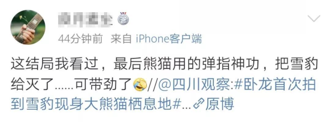 雪豹遇上大熊猫？网友：这是“华山论可爱”