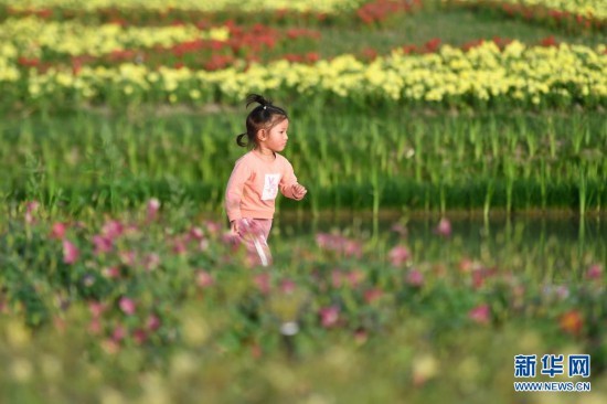 浙江湖州：美丽乡村开启“花海龙虾节”