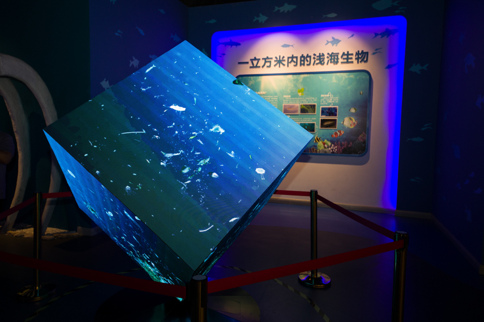 【我爱这片蓝色的国土】探秘全国海洋科普馆NO1，体验“蛟龙”深潜神器