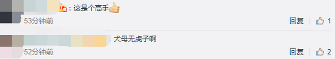 尴尬了吧！母亲驾考3次都没过，巴西一43岁儿子化妆穿裙子替考