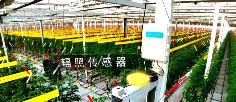 突破制约 数字技术与传统农业碰撞出“最优解”