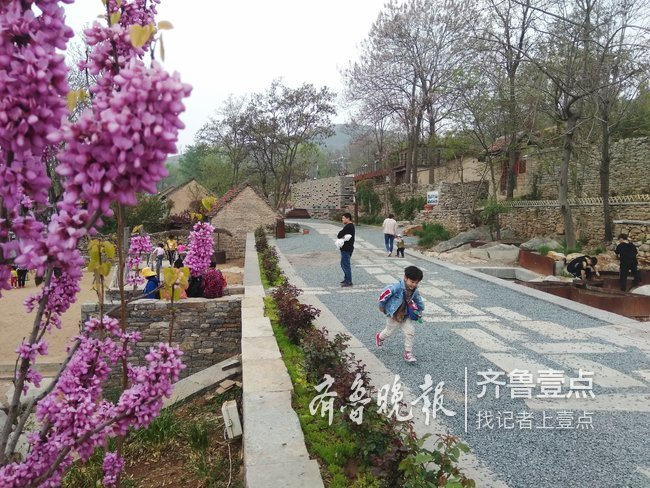 临沂这个昔日吃不上水的山村，如今美翻了！