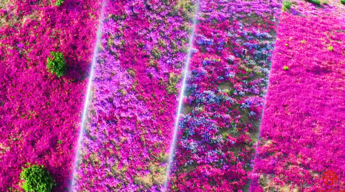 非凡十年“瞰”济南