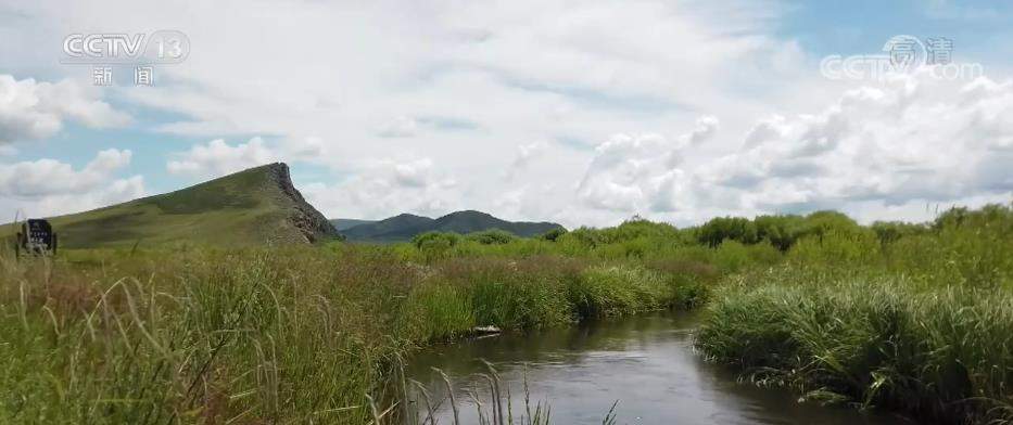 退耕还草现金补助期限延长3年 每亩补助300元