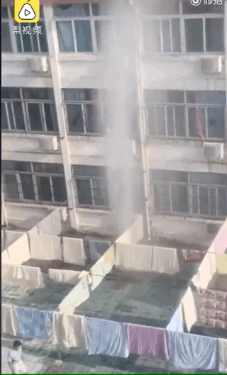 万物生长！好久不见的宿舍，推开门后懵了：人生处处有惊喜