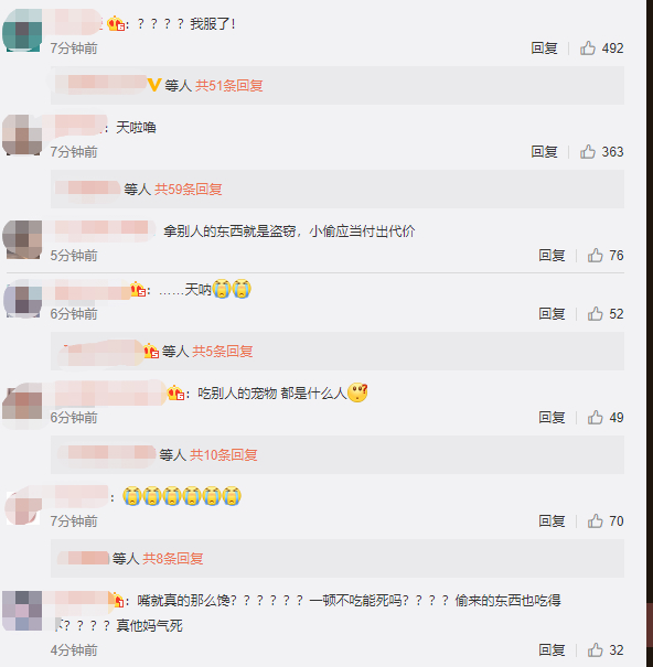 启事■王珞丹寻鸭启事后续来了！偷鸭者已找到 可“吉吉”已成盘中餐