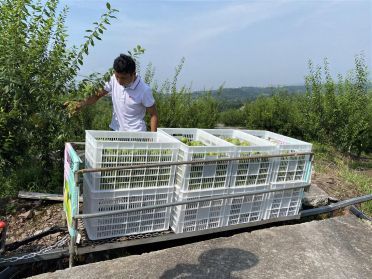 走向我们的小康生活 