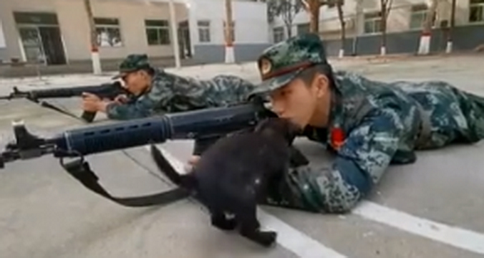 萌萌哒！狗子偷亲趴地训练兵哥哥，兵哥哥真的不敢动
