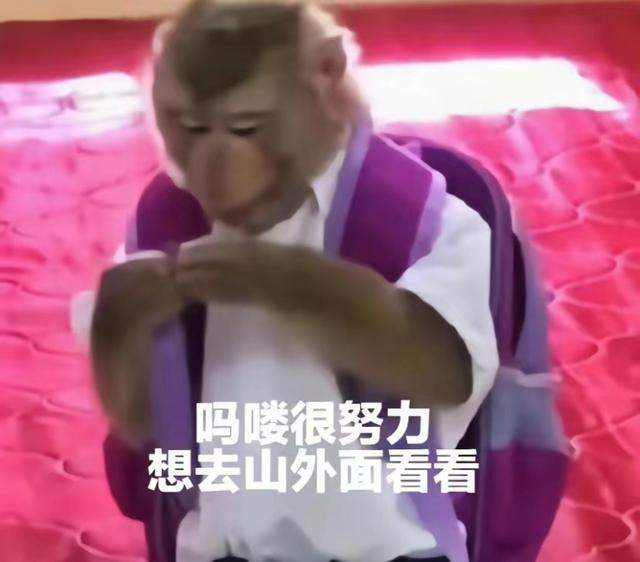 一夜之间“吗喽”占领了年轻人的生活圈 来自何方？