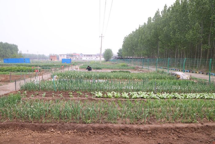 走基层 看发展｜玉清湖街道：水景扇形画 擦亮乡村振兴的“生态底色”