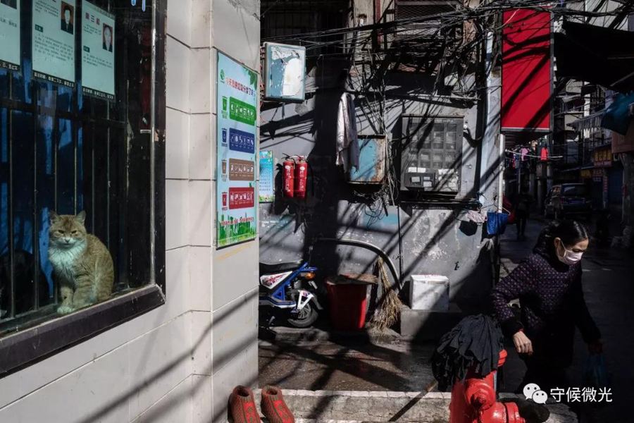 封城后，生活在焦虑和乐观间摇摆 