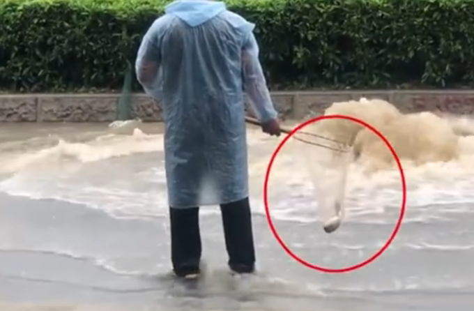 笑喷！暴雨过后的广州，路人班都不上当街捕鱼