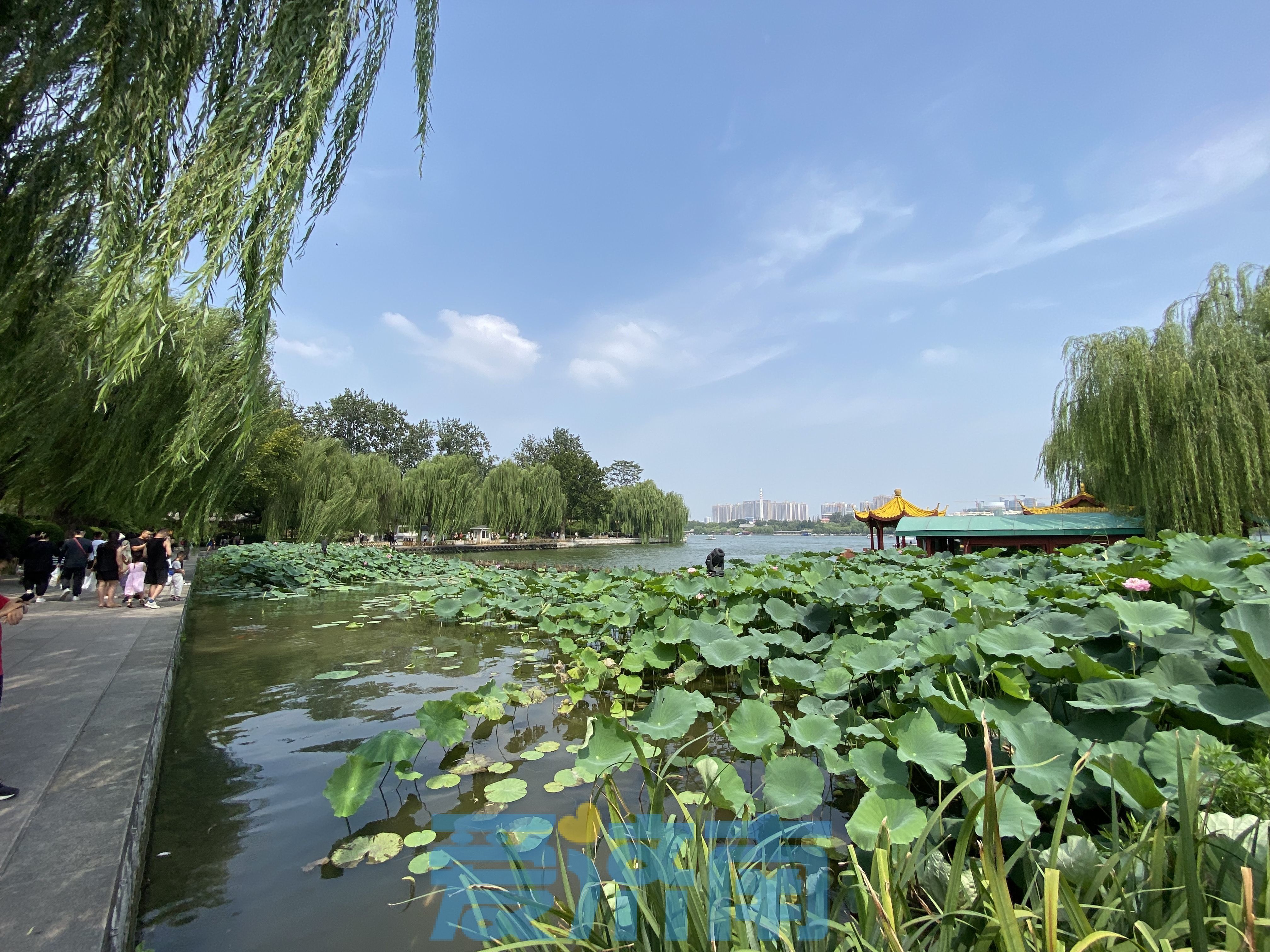 闷！未来几日济南“桑拿”天天见 高温、雷雨持续开“蒸”