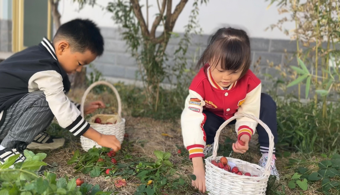 槐荫区第三实验幼儿园新世界园区：红了山楂，甜了童年